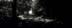 Ley-libes photo
