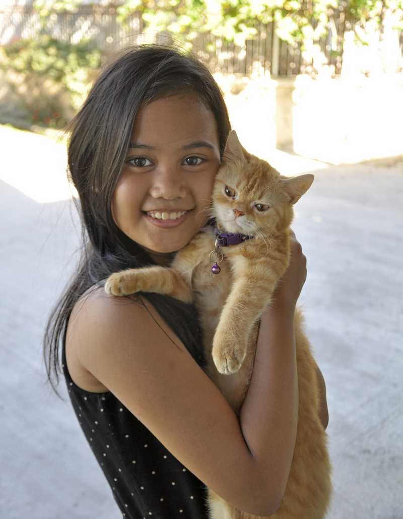 Malolos Street Girl Cat Rod Flemings World