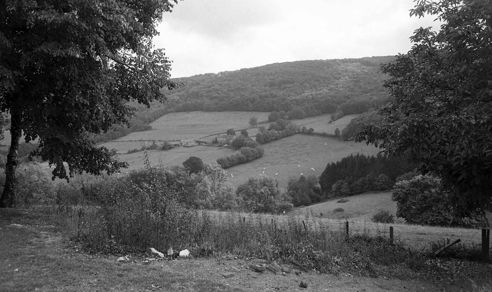 2002-03-12autun31