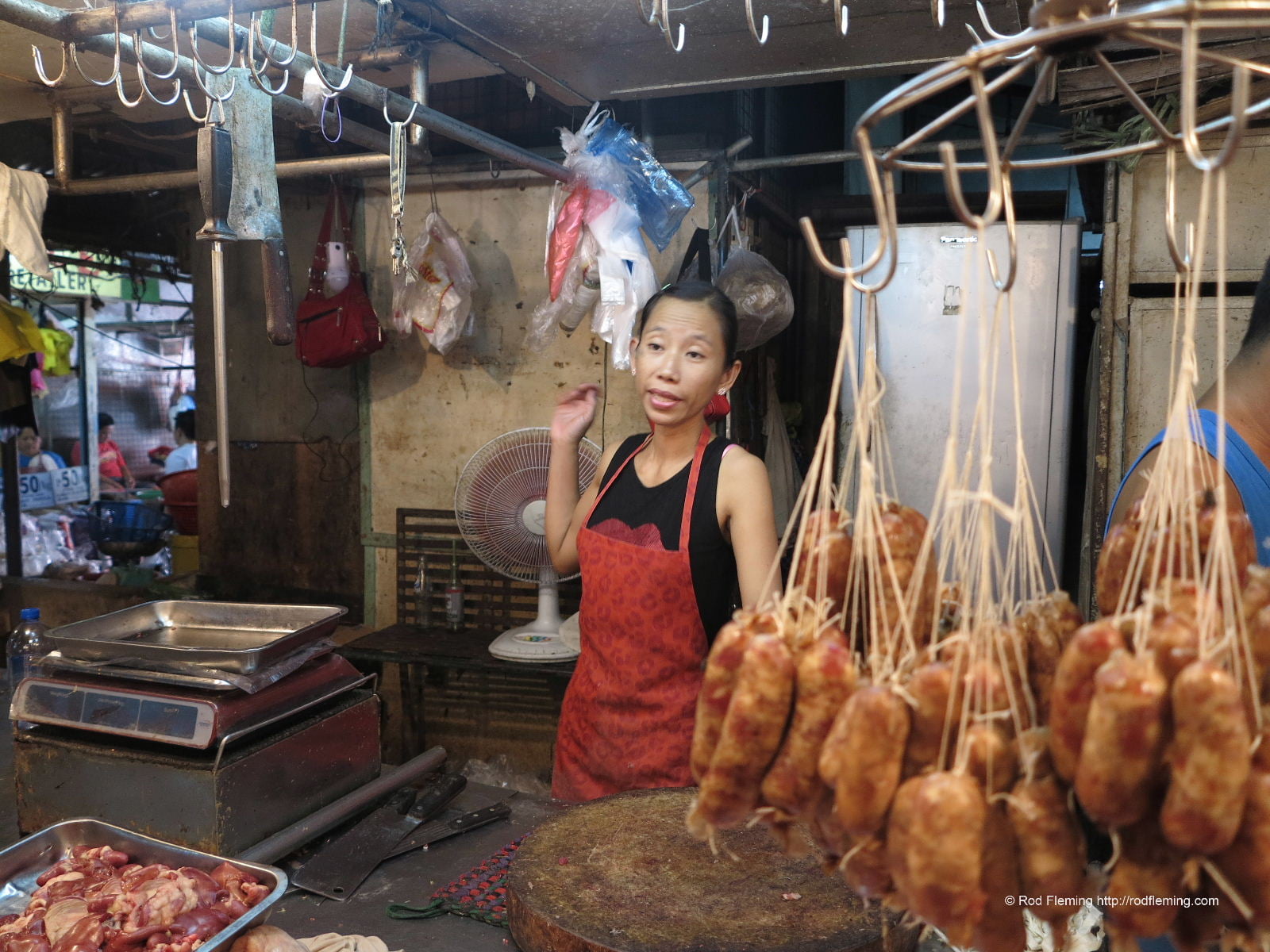 RodFleming_Philippines-2016_026
