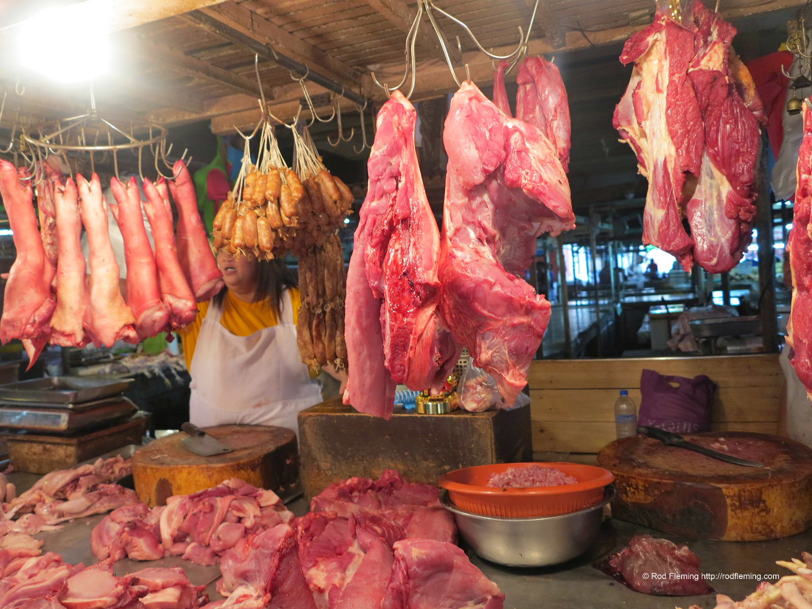 RodFleming_Philippines-2016_027