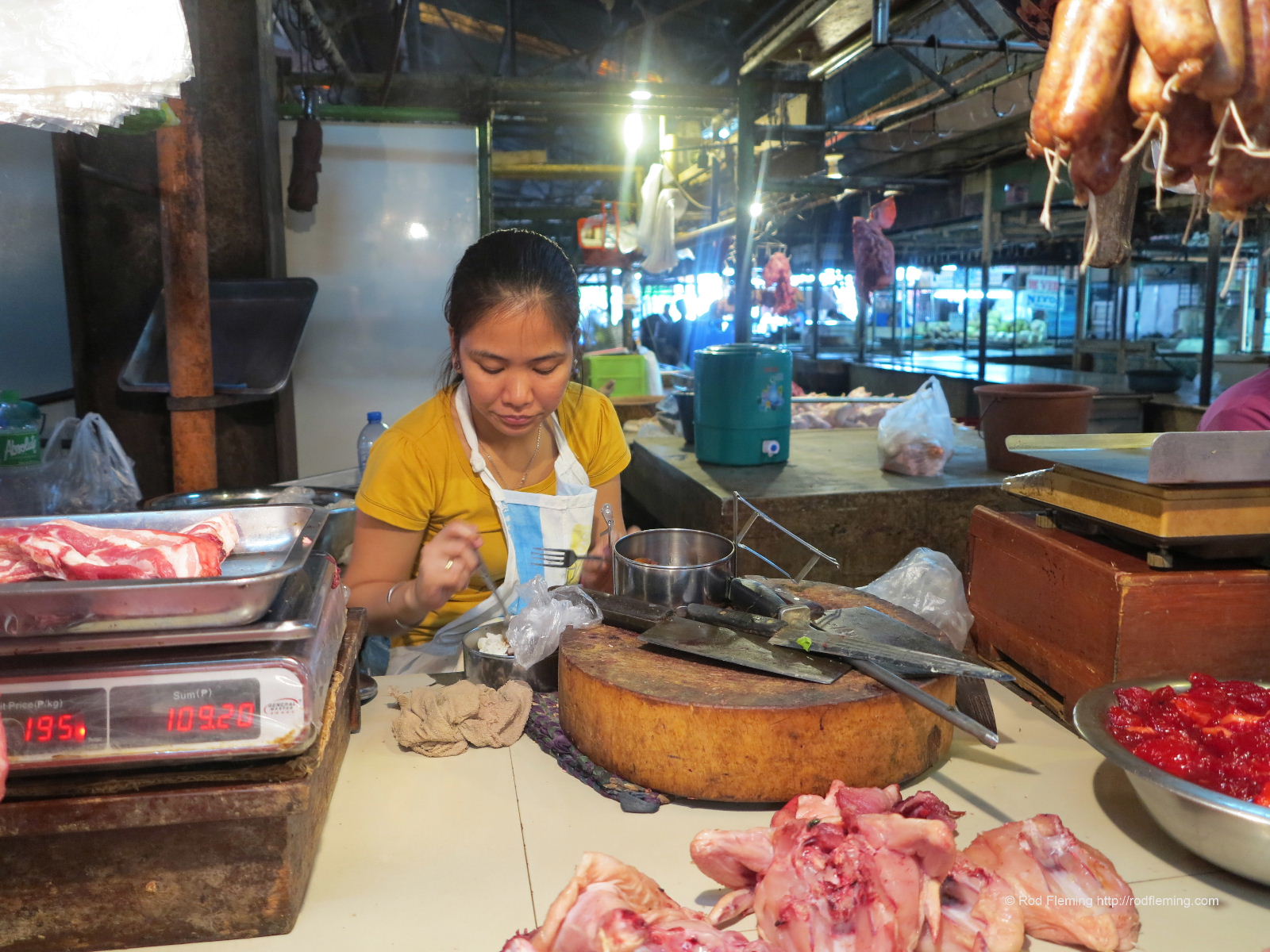 RodFleming_Philippines-2016_028