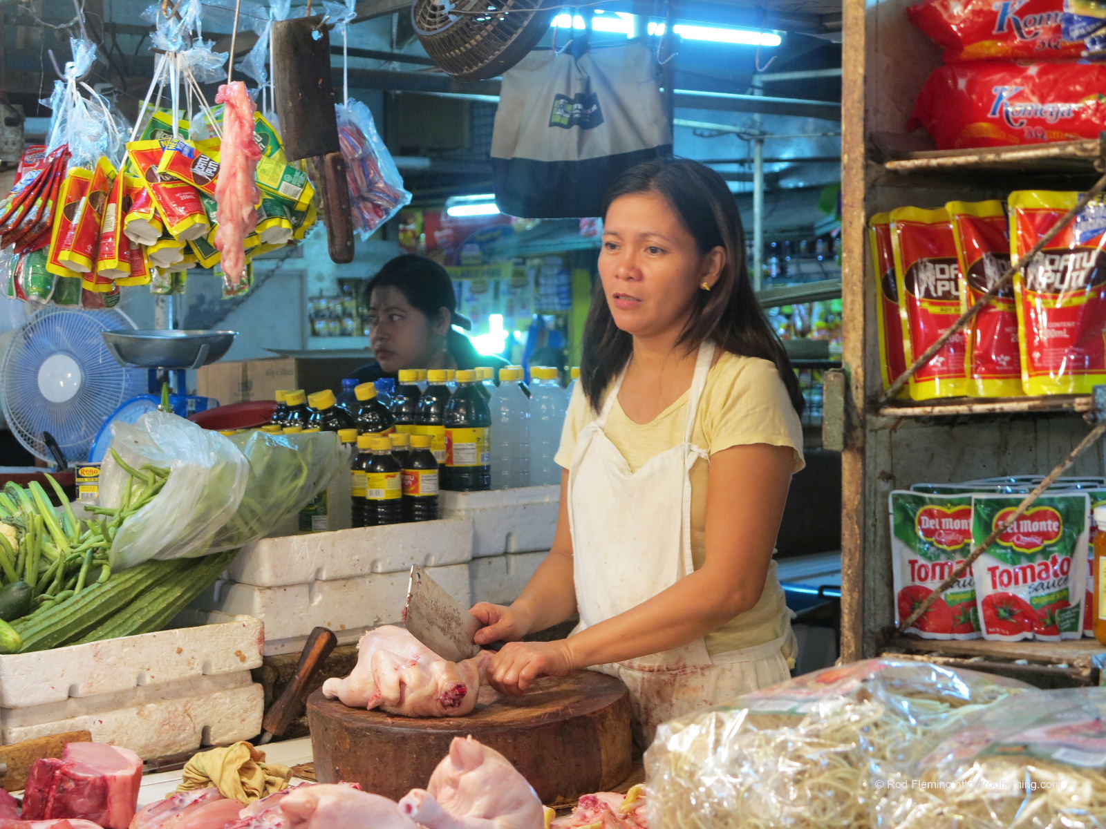 RodFleming_Philippines-2016_033