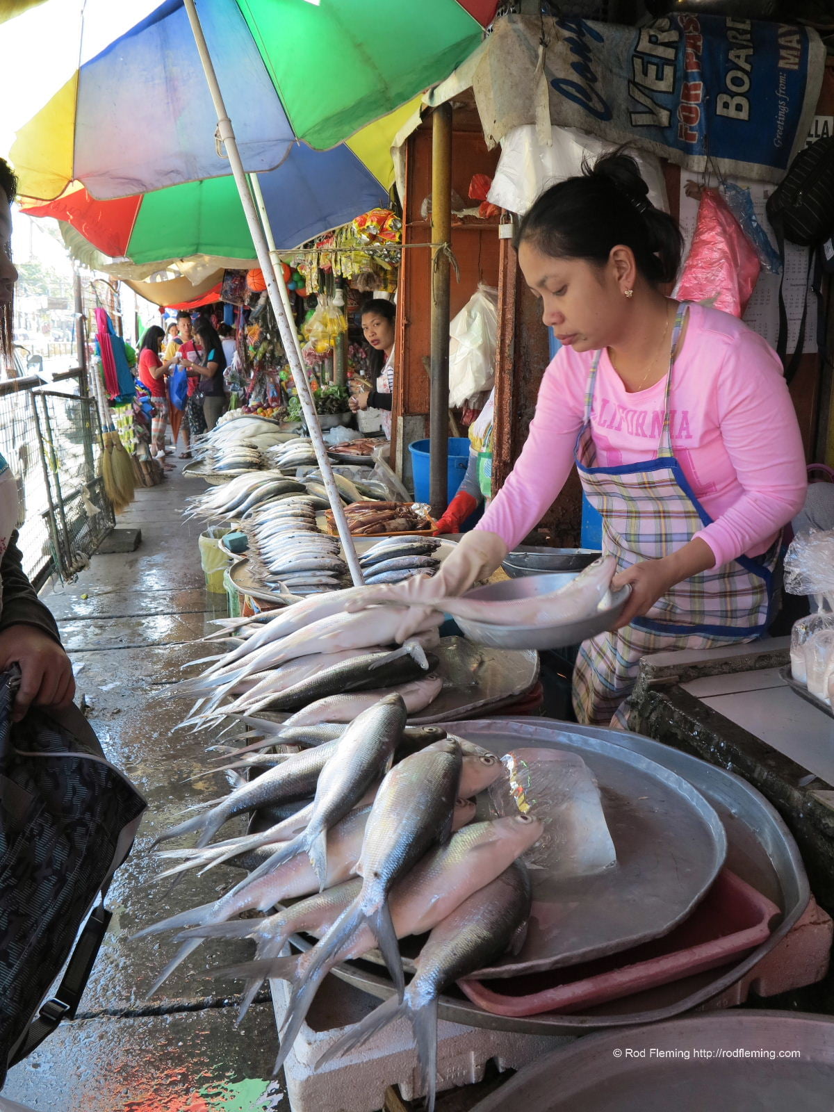 RodFleming_Philippines-2016_035