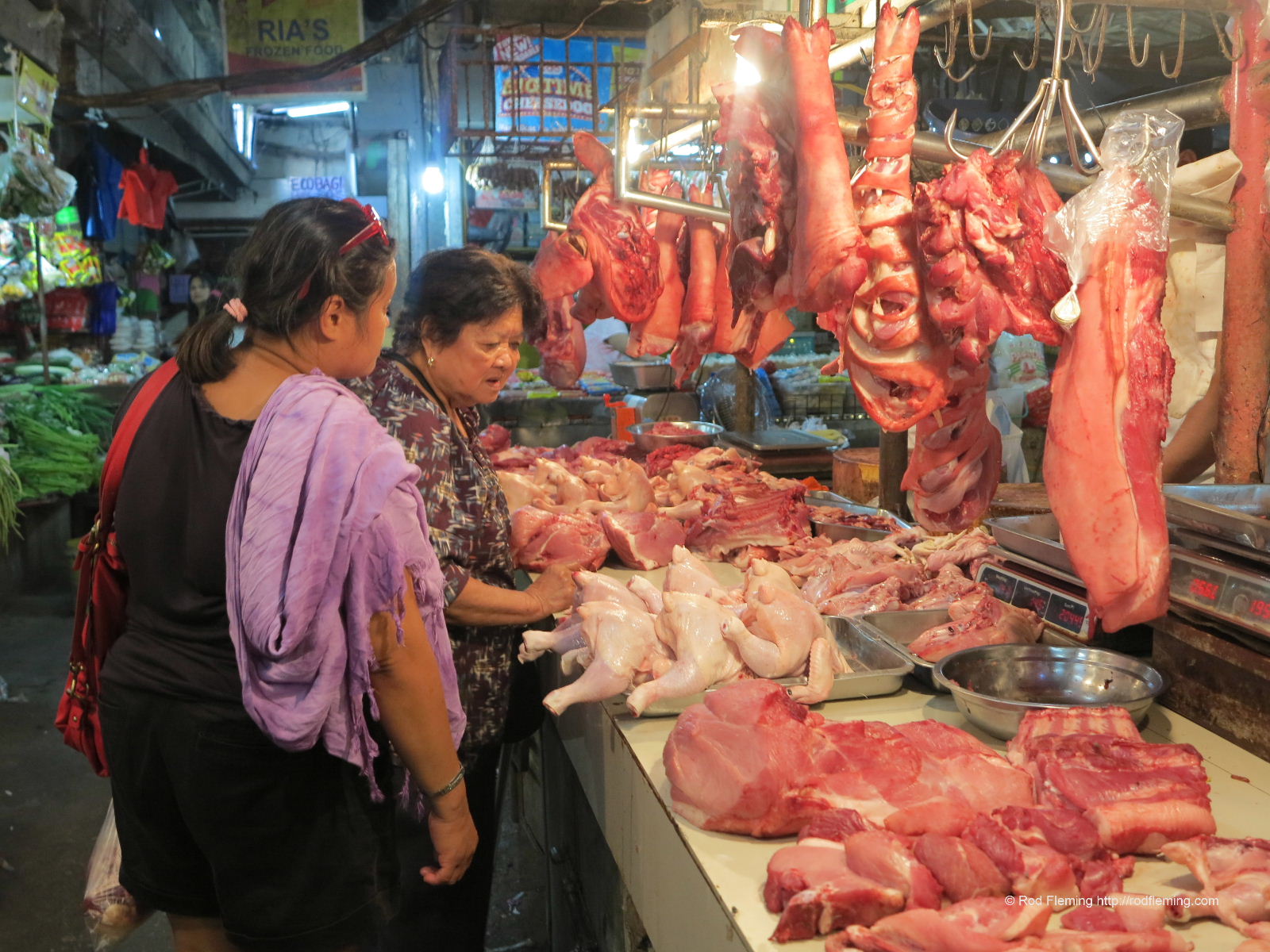 RodFleming_Philippines-2016_039