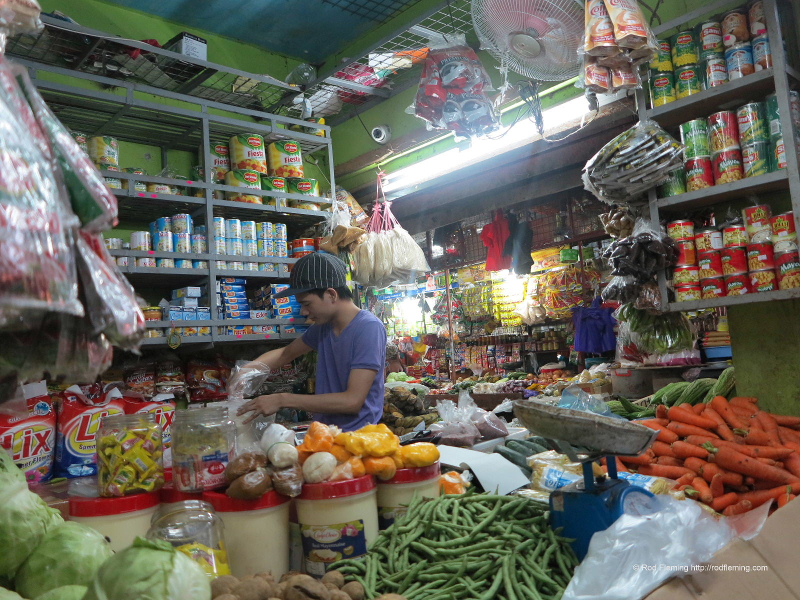 RodFleming_Philippines-2016_043
