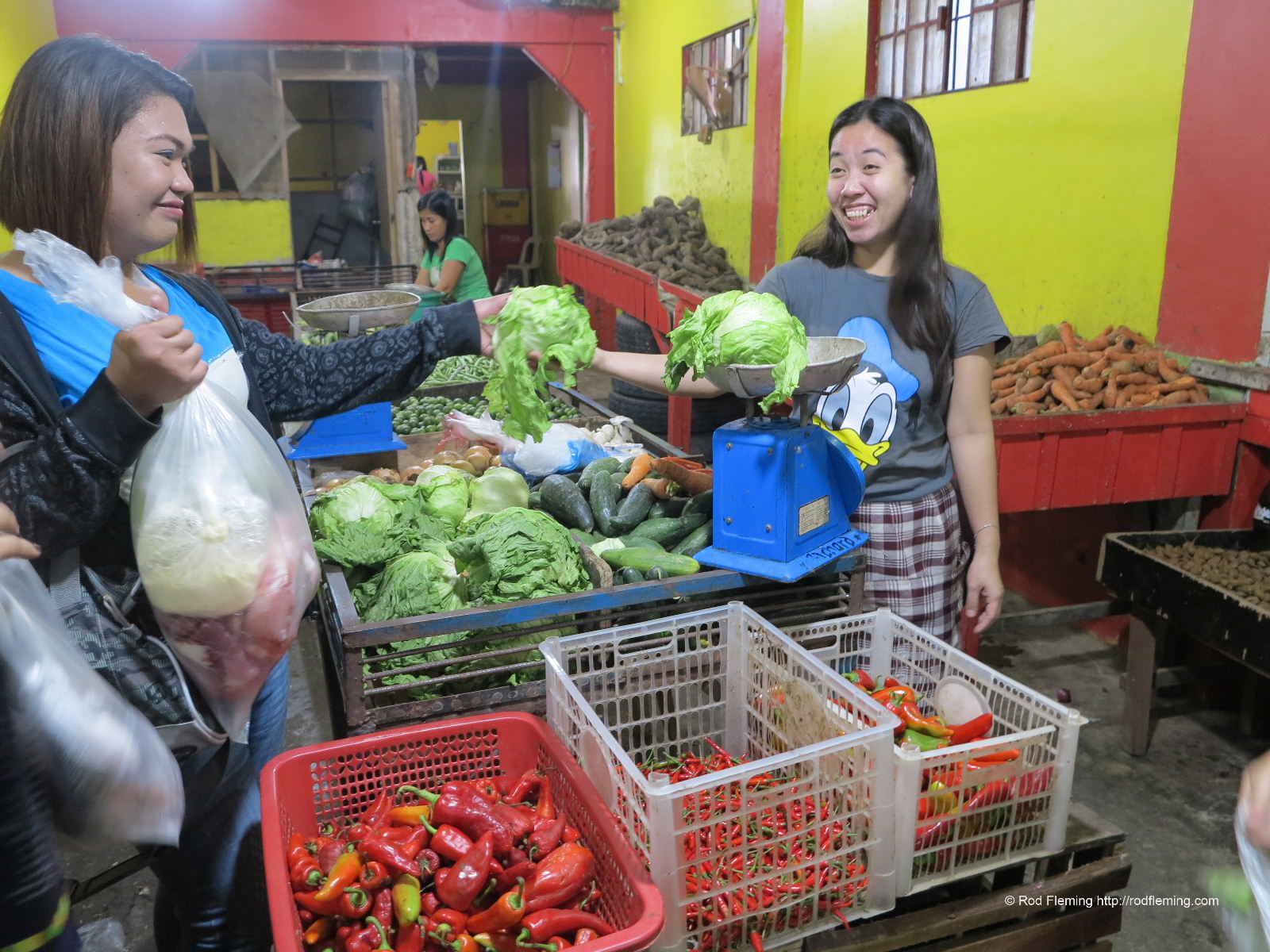 RodFleming_Philippines-2016_045