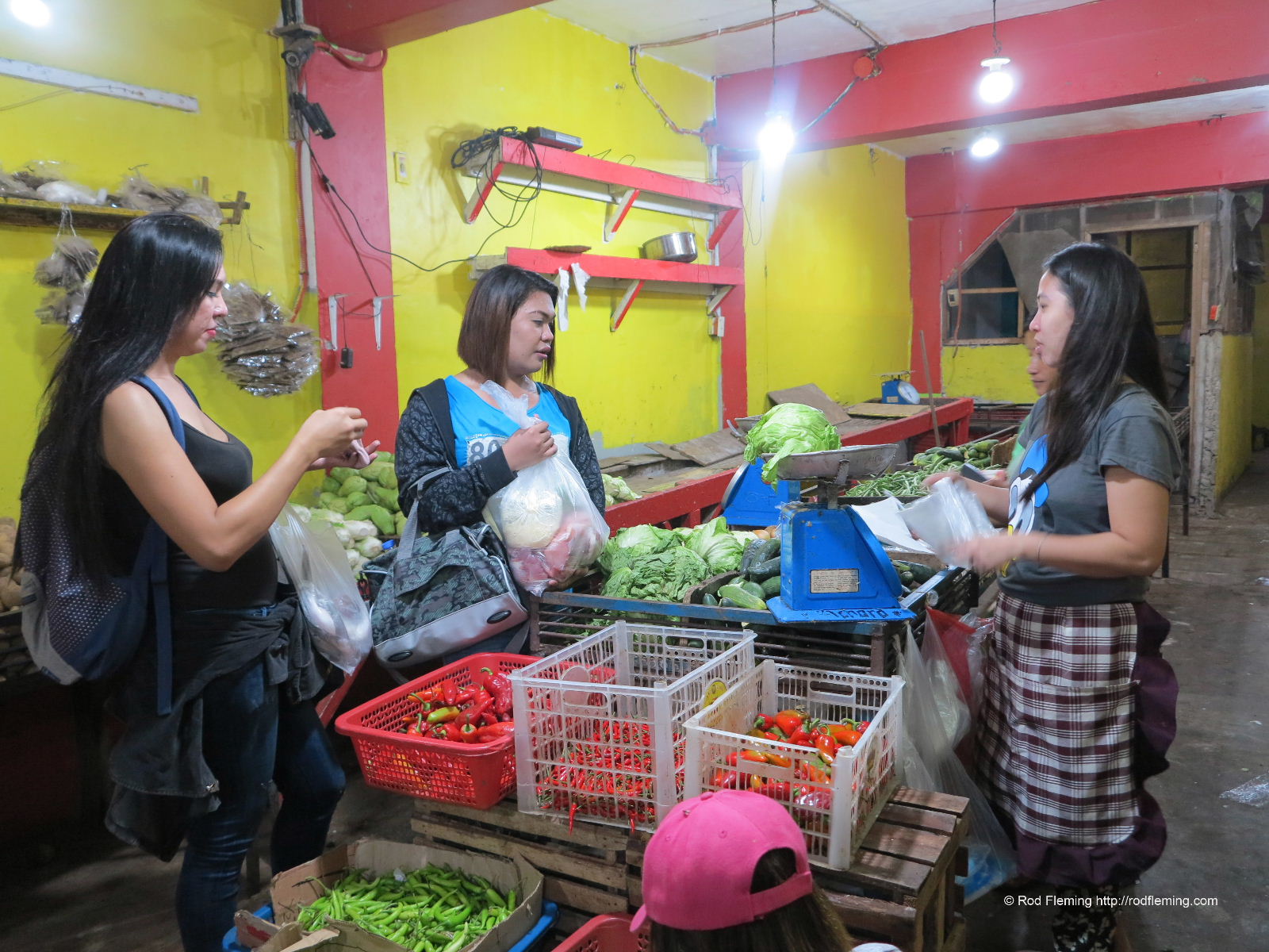 RodFleming_Philippines-2016_047