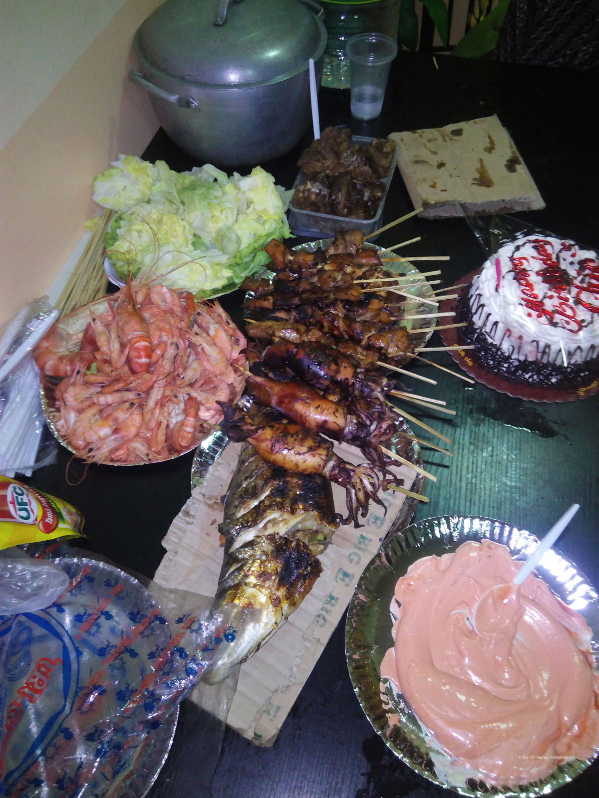 RodFleming_Philippines-2016_075