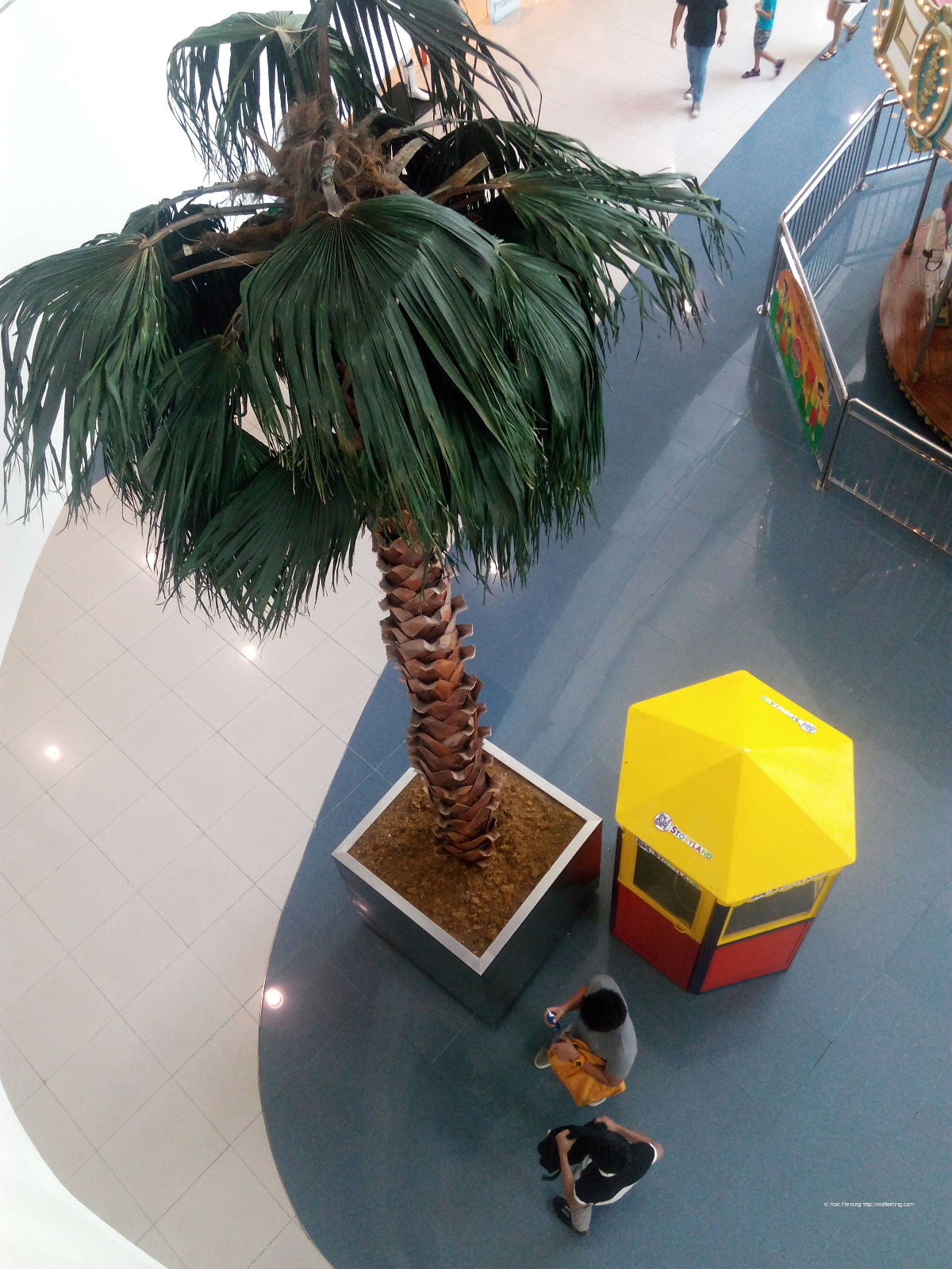 RodFleming_Philippines-2016_078