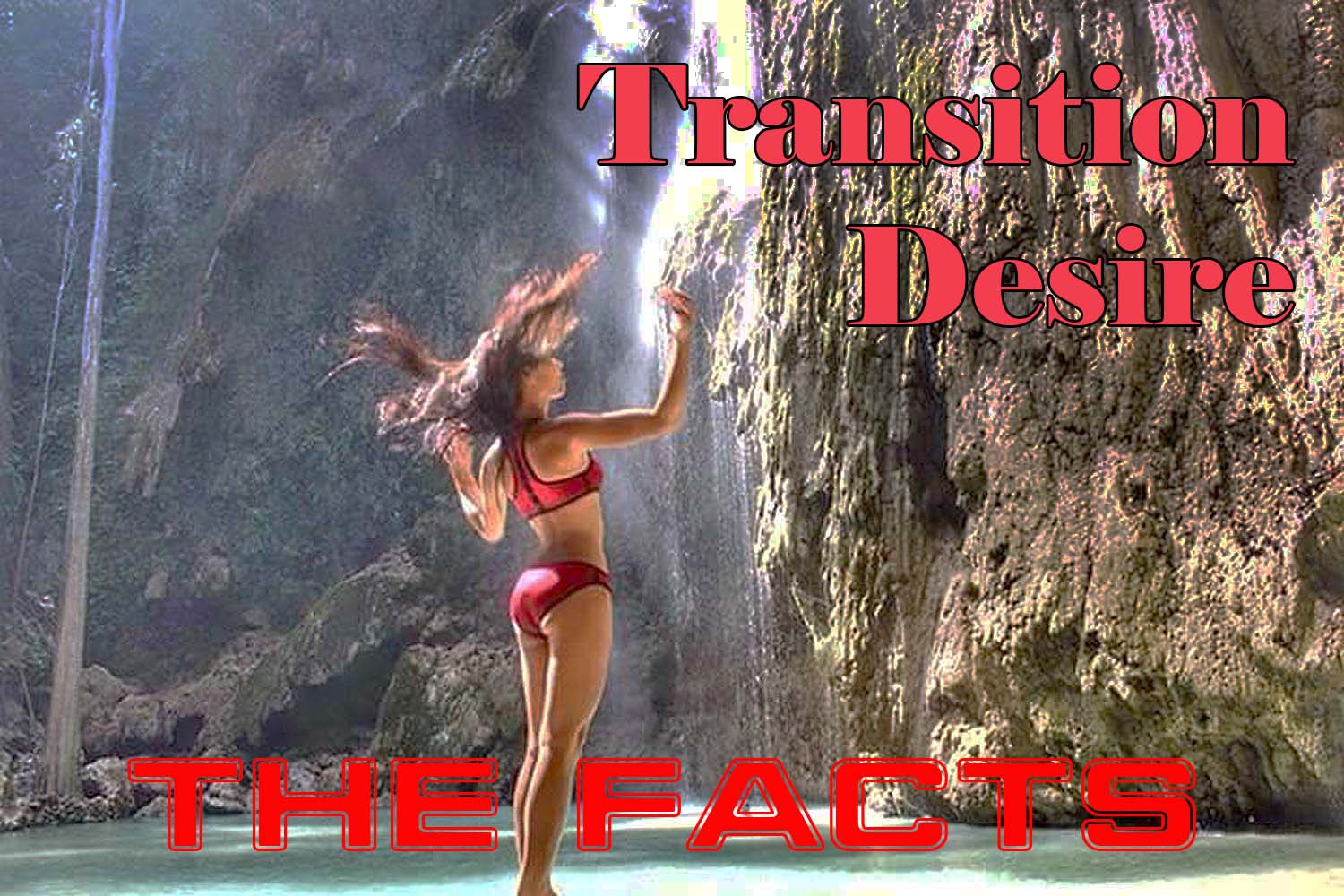 transition desire