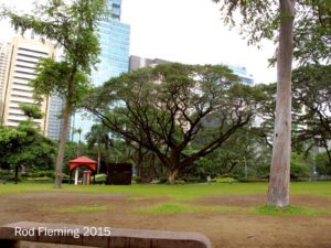 rod-fleming-makati-greenhills-manila-2015