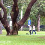 rod-fleming-makati-greenhills-manila-2015